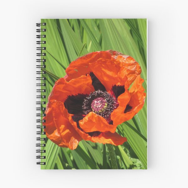 Item preview, Orange Poppy designed and sold by WildandDivine.
