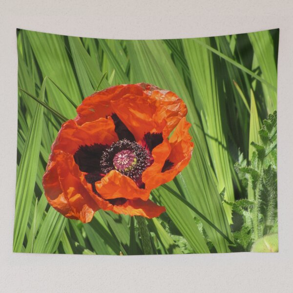 Item preview, Orange Poppy designed and sold by WildandDivine.