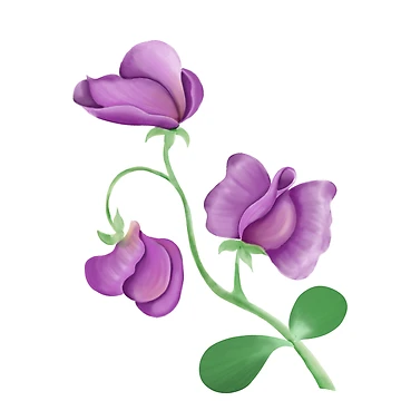 Artwork thumbnail, Sweet pea  by pixiepatterns