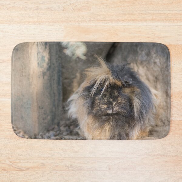 Item preview, Abyssinian guinea pig with dark coat, South American animal designed and sold by brambillasimone.