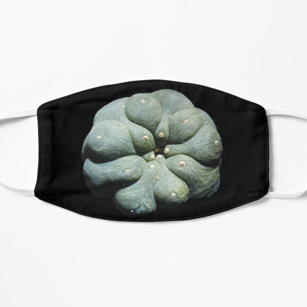 OFFICIAL PEYOTE Mask