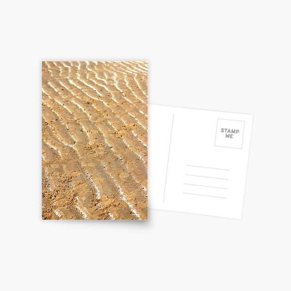 Chalk trails in the sand Postcard