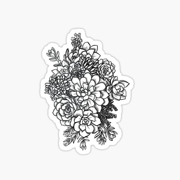 Echeveria Runyonii Sedum Succulent Stone Rose Rosette Flower Black Outline  Sketch Mesh Detailed Realistic Drawing Side View Interior Decoration  Flowering Plant Black And White Tattoo Style Stock Photo Picture And  Royalty Free