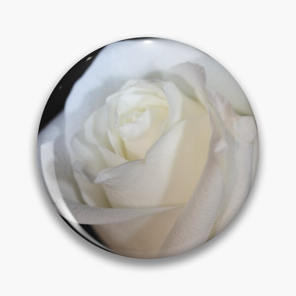 Item preview, Elegant White Rose designed and sold by Autumn Seas Photography.