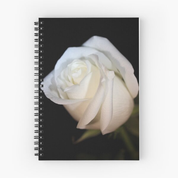 Item preview, Elegant White Rose designed and sold by Autumn Seas Photography.