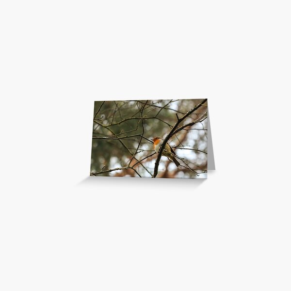 Robin Above Greeting Card