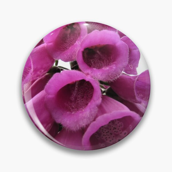 Item preview, Foxglove - Come into my Lair designed and sold by GoNatureDesigns.
