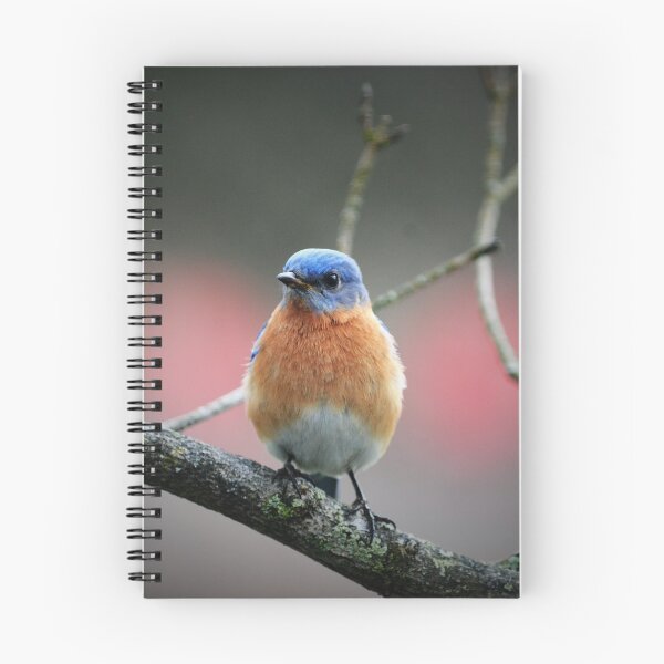 Item preview, Blue Bird in the Morning designed and sold by christiane.