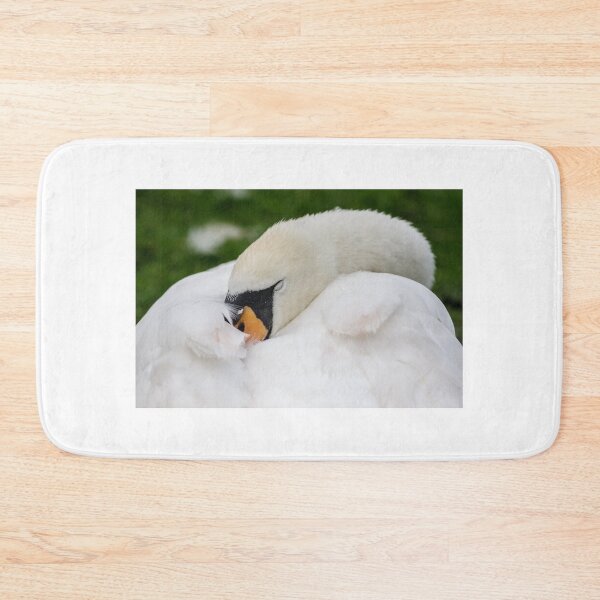 Item preview, Sleeping Swan designed and sold by heidipics.