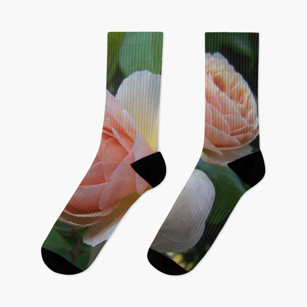 Item preview, Rose Sweet Juliet designed and sold by Boscastle.
