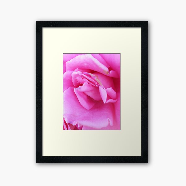 Vista previa del artículo con la obra «Rosy», diseñado y vendido por Julie Van Tosh Photography.