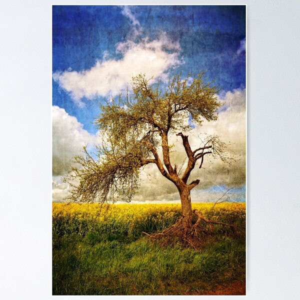 Item preview, The old tree designed and sold by Claudia-Evans.