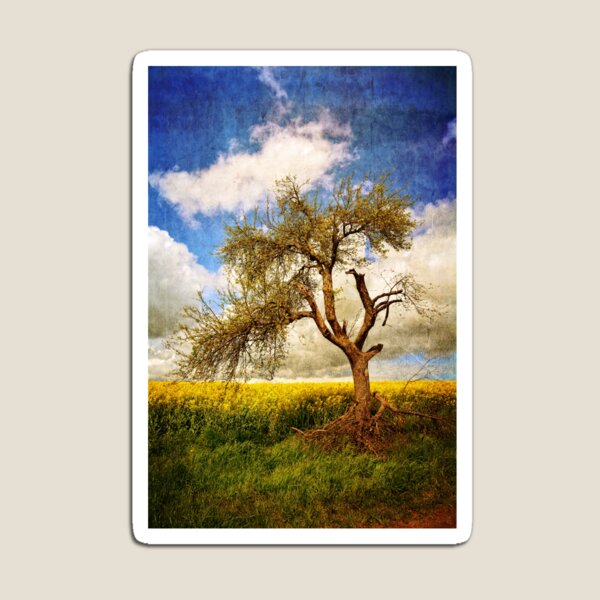 Item preview, The old tree designed and sold by Claudia-Evans.