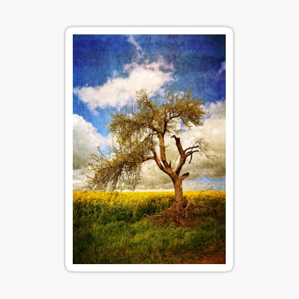 Item preview, The old tree designed and sold by Claudia-Evans.