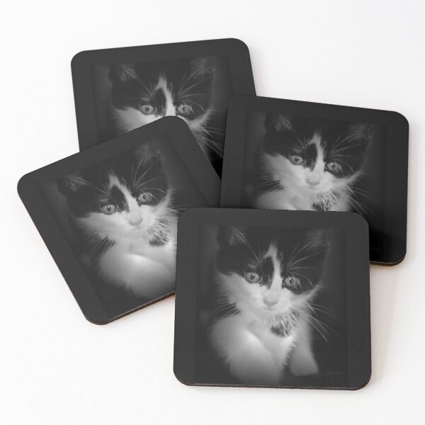 Item preview, Beautiful Black and White Kitten  designed and sold by ReneeKennedy.