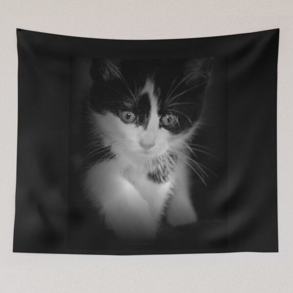 Item preview, Beautiful Black and White Kitten  designed and sold by ReneeKennedy.