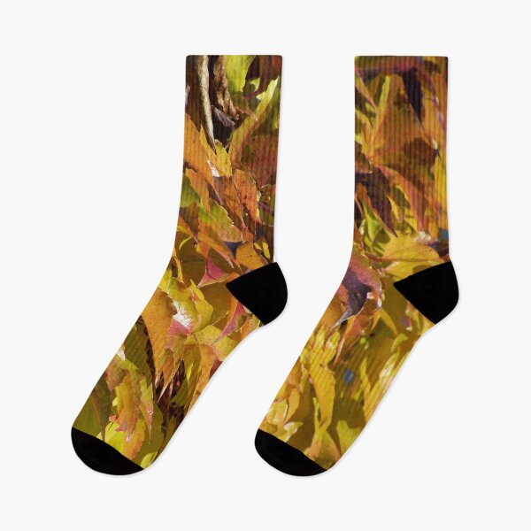 Item preview, Autumn Leaves - Autumn Leaves designed and sold by Boscastle.