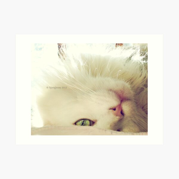 See Me? Art Print