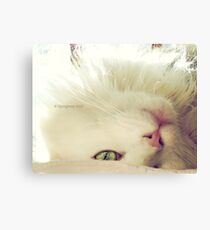 See Me? Canvas Print