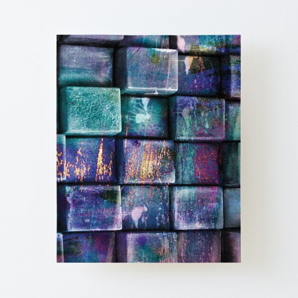 Brick wall with birds Canvas Mounted Print