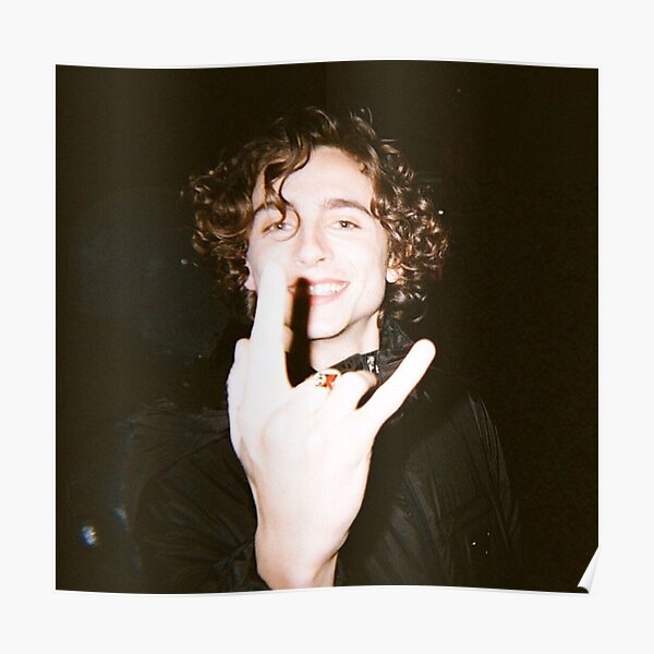Thimotée Chalamet Poster