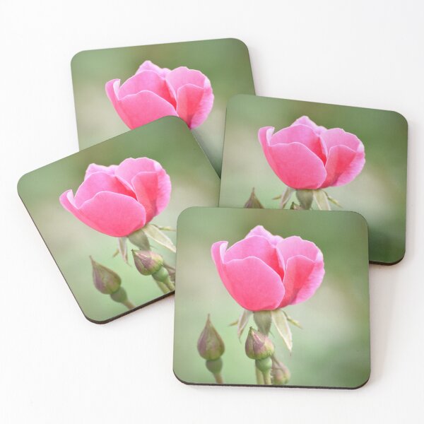 Item preview, Delicate Pink Rose Bud designed and sold by ReneeKennedy.