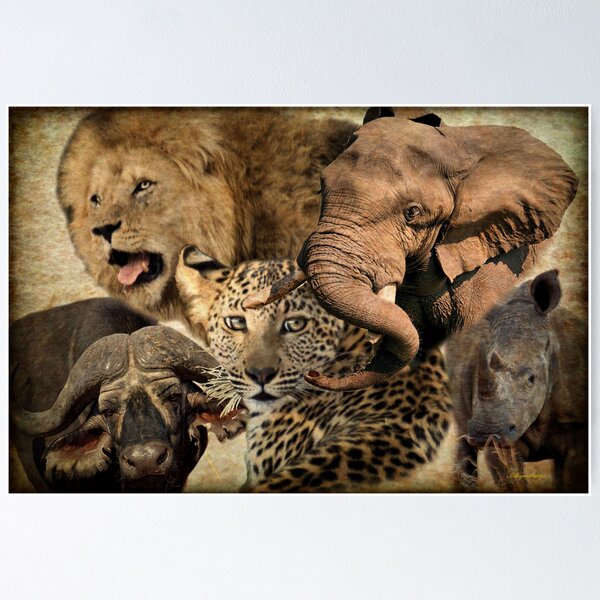 AFRICA'S BIG FIVE Poster