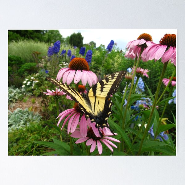 Item preview, Butterfly alley designed and sold by MarianBendeth.
