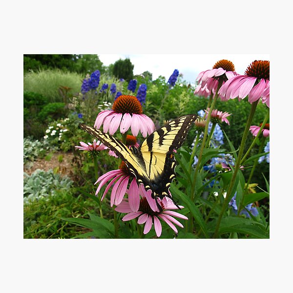 Item preview, Butterfly alley designed and sold by MarianBendeth.
