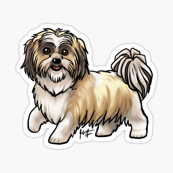 Shih Tzu - Gold Sticker