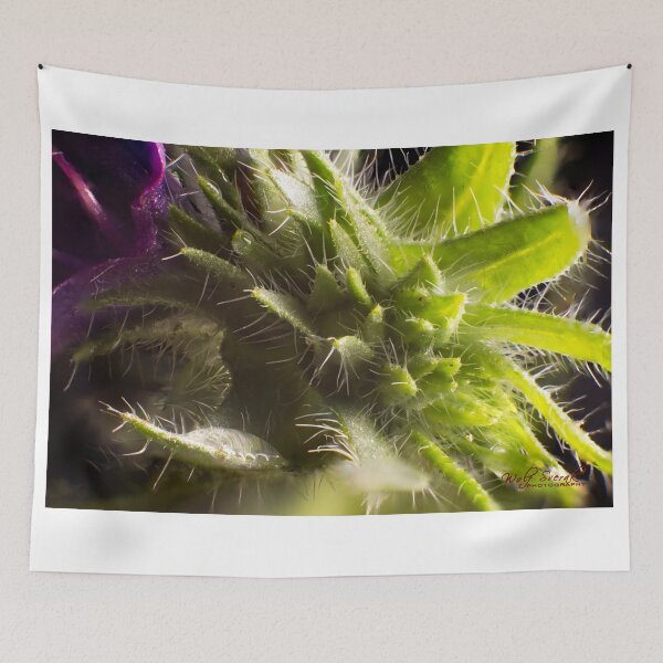 Item preview, The Magic of Small (2) designed and sold by Wolf Sverak Photography.