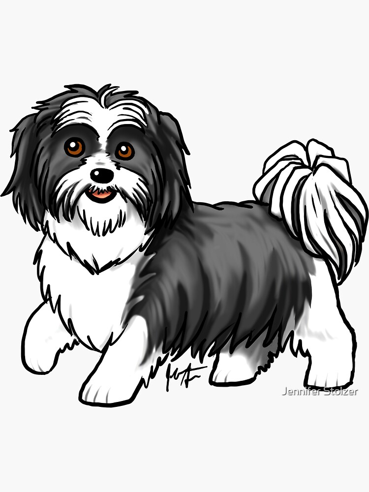 Shih Tzu Double Colored Black And White Sticker For Sale By Jameson Redbubble