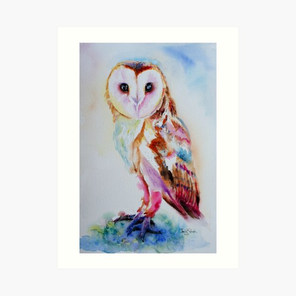 Barn Owl Art Print