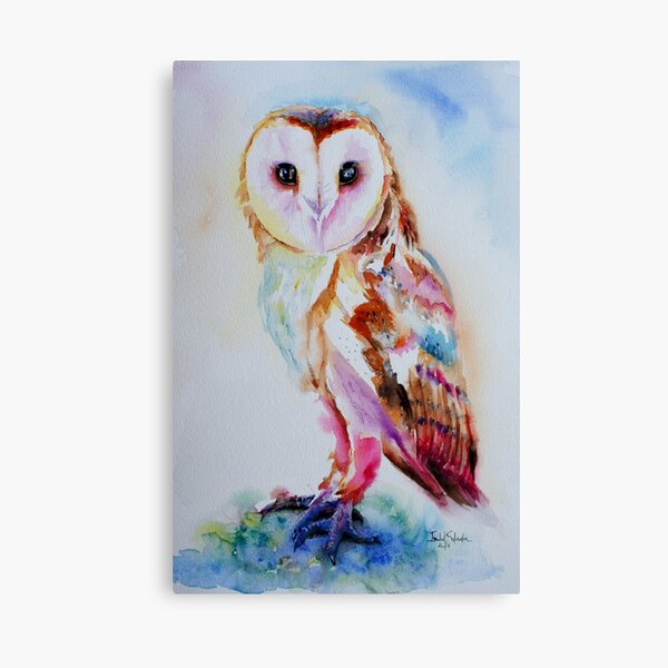 Barn Owl Canvas Print