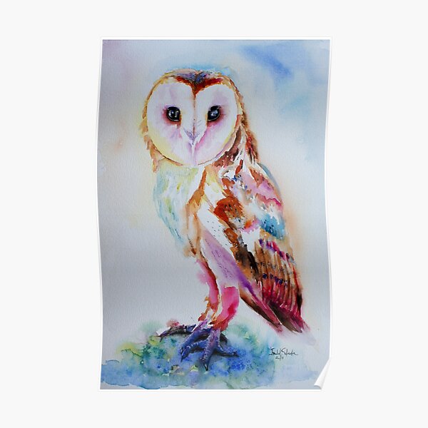 Barn Owl Poster