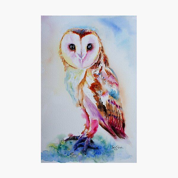 Barn Owl Photographic Print