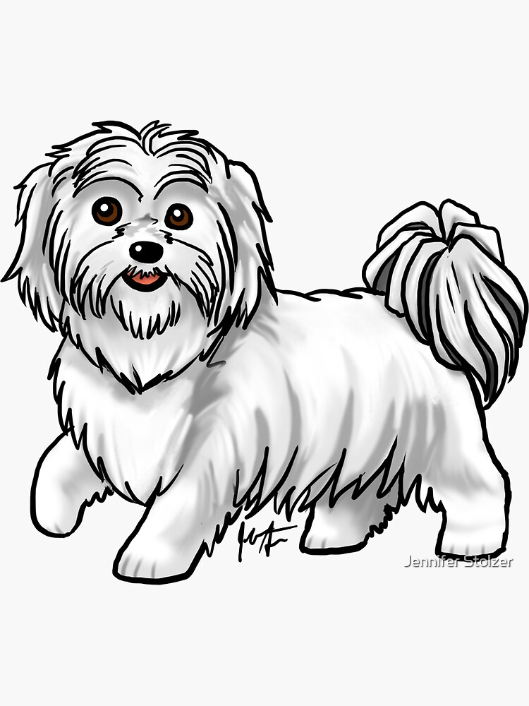 Shih Tzu - White by jameson9101322