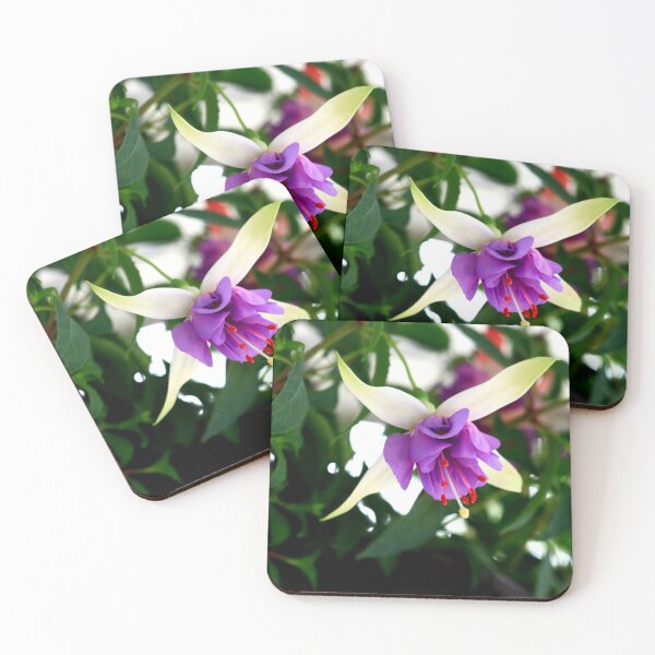 Item preview, Fuchsia Blossoms in bloom, Garden flowers, Purple flowers, green and purple decor,  designed and sold by LCAppling.