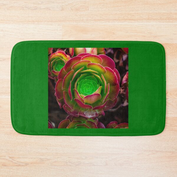 Item preview, Succulent in square designed and sold by Thaddeus Zajdowicz.