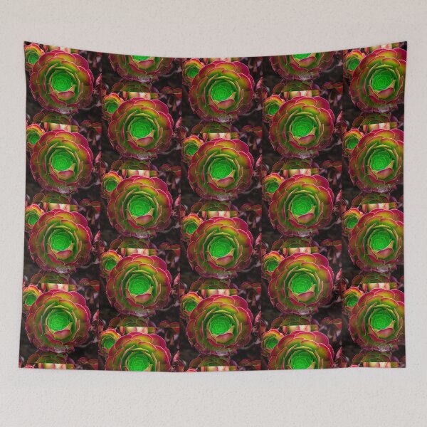 Item preview, Succulent in square designed and sold by Thaddeus Zajdowicz.