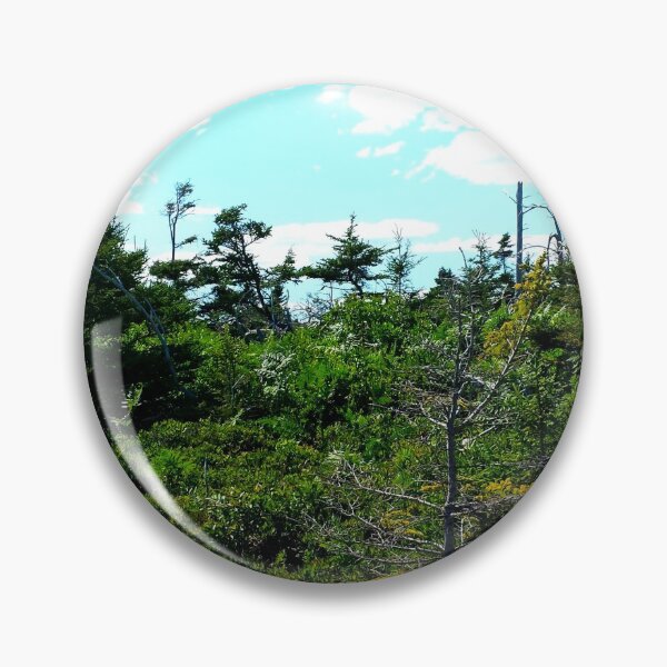 Item preview, Off the Beaten Path - Coastal Forest designed and sold by Totallyalive.