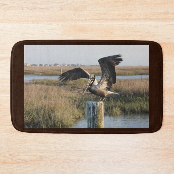 Item preview, Poised Pelican designed and sold by Autumn Seas Photography.