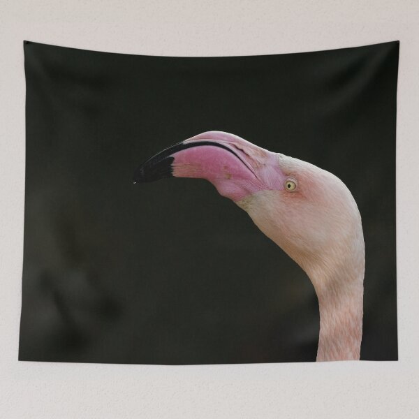 Item preview, Pink flamingo close-up on a dark background designed and sold by brambillasimone.