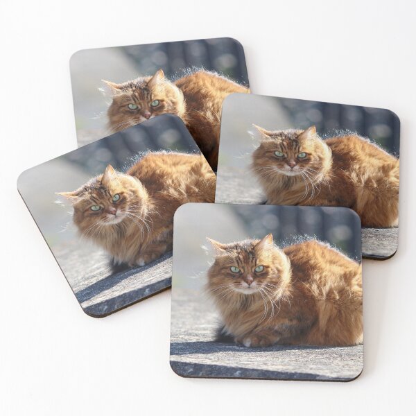Item preview, Golden cat designed and sold by GreyFeatherPhot.