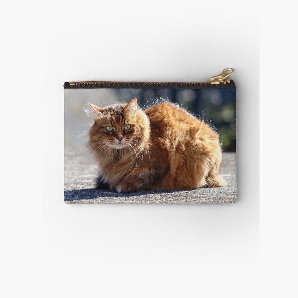 Item preview, Golden cat designed and sold by GreyFeatherPhot.
