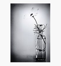 Waiting... to be seen... Photographic Print