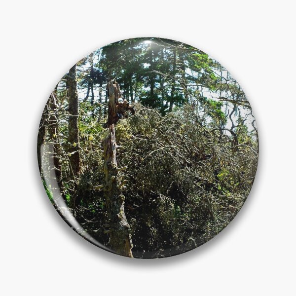 Item preview, Off the Beaten Path - Dead Forest designed and sold by Totallyalive.