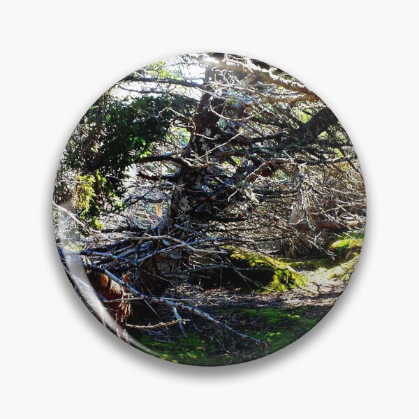 Item preview, Off the Beaten Path - Dead Forest designed and sold by Totallyalive.