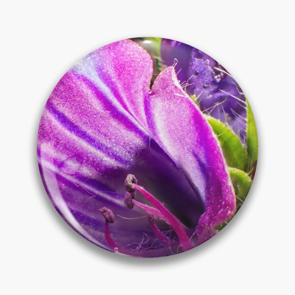 Item preview, The Magic of Small (1) designed and sold by Wolf Sverak Photography.