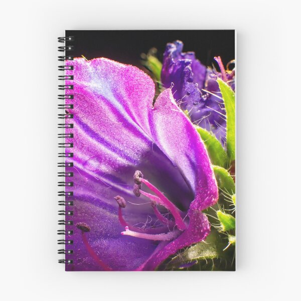 Item preview, The Magic of Small (1) designed and sold by Wolf Sverak Photography.